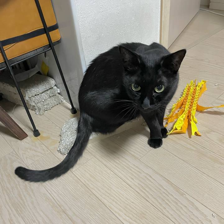 F41d0565 bde4 4194 b757 3e51bb332411 1723205382091