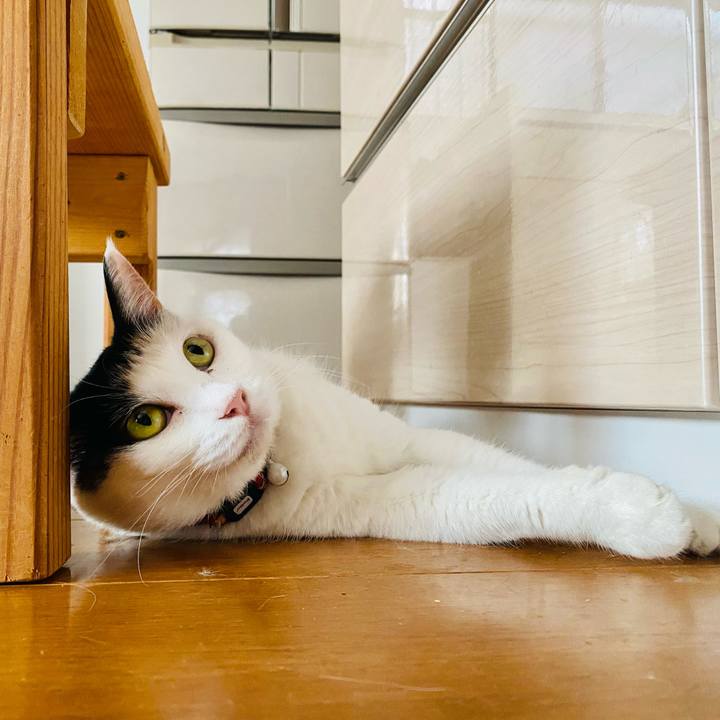 F41d412d bf5b 4f62 b23d 61138c521c7b 1659796692725