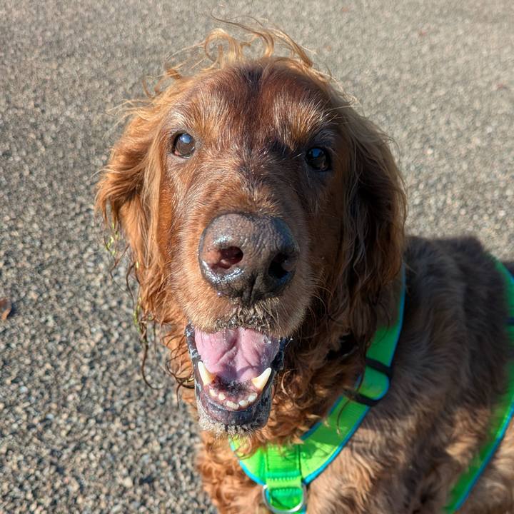 F41d4db0 92c2 4269 988f e405574f1c7f 1759501563659