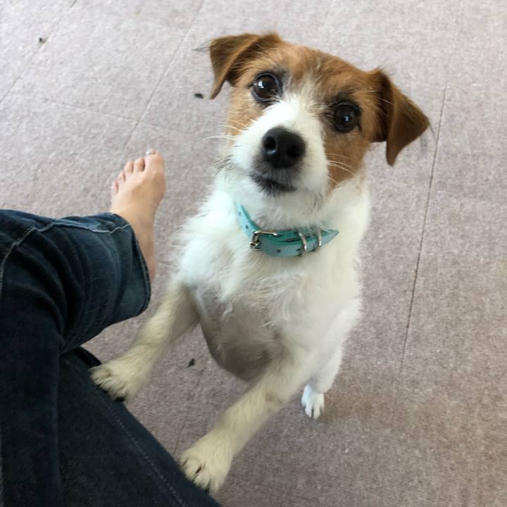 F41d640c 3641 4976 ac30 26b48292566a 1538892651741