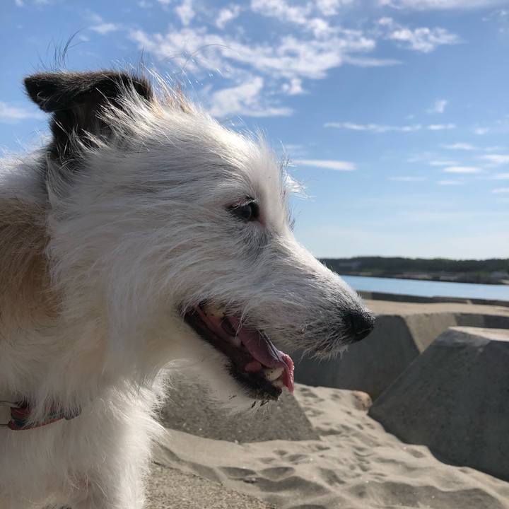 F41d7176 8405 4fd3 bc34 684345abde14 1590881943324