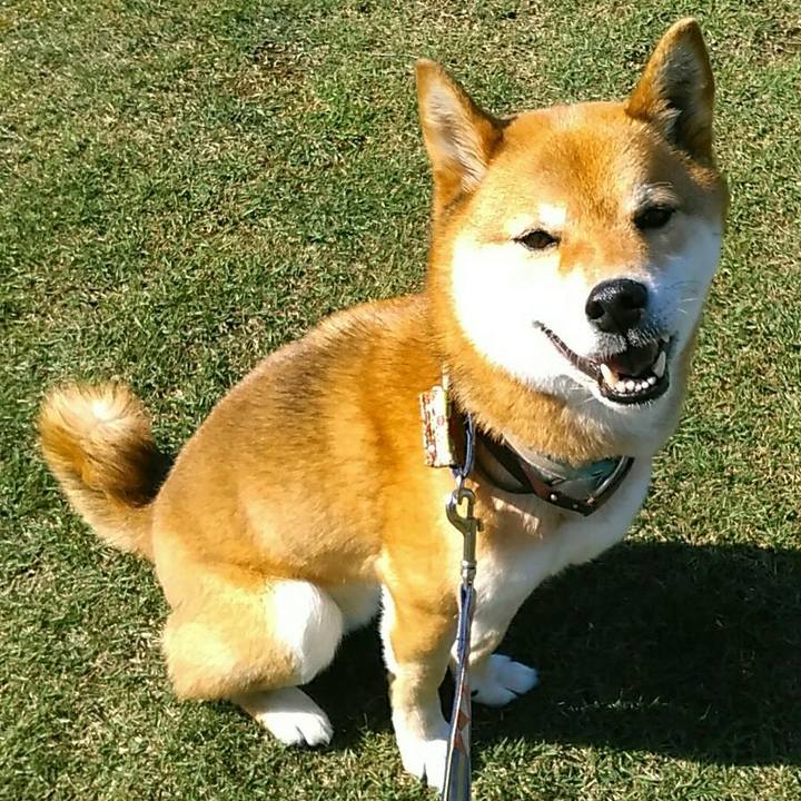 F41d946b 70a5 4cd8 a2a1 860a549da0ef 1556784559152