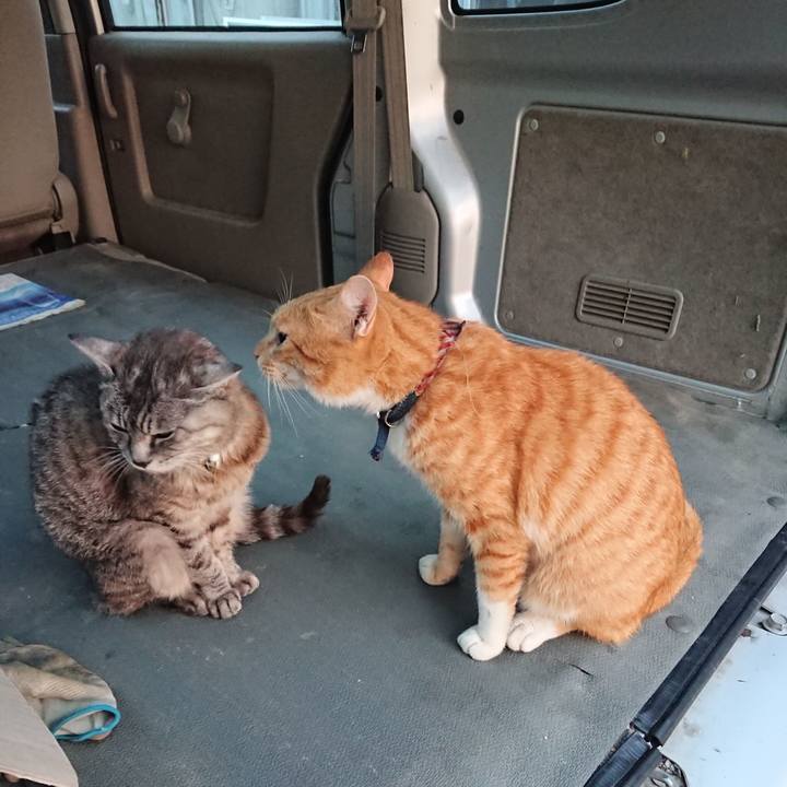 F41d9ce1 8abc 461b af43 048cb39f8d1a 1568234013132