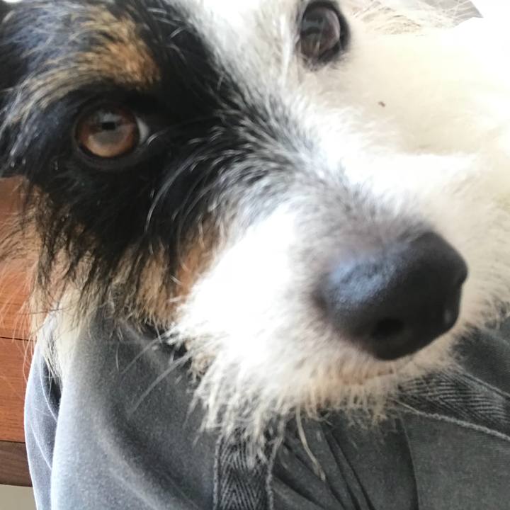 F41daa8b 4f34 47b0 9017 d716dd712073 1531807571570