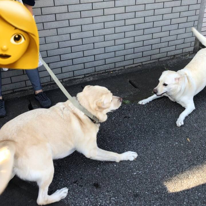 F41dacba f0c4 4cc4 862a 96ca830598c7 1602240942282