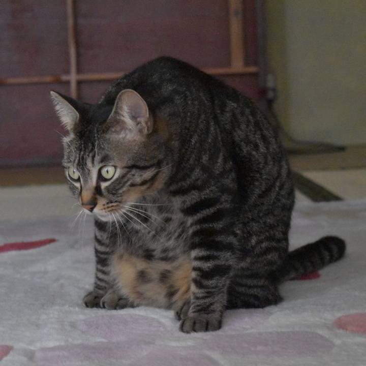 F41dcbd5 4b89 4937 8fc3 28e44dd5409c 1520148307465