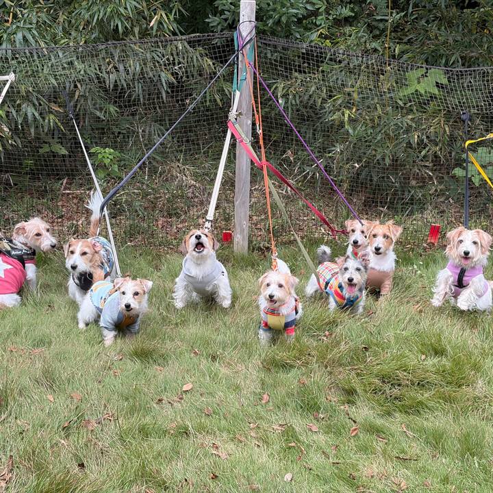 F41dcdfe f92a 4f5b 9e89 8b8387fb2524 1762150211441