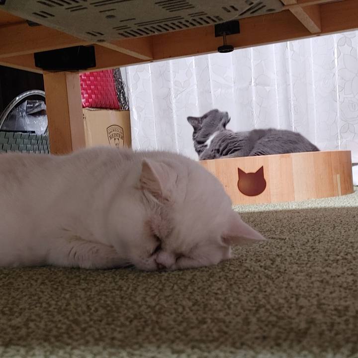 F41de9fb c1a8 4c5b b518 a840297a12f9 1632563260281