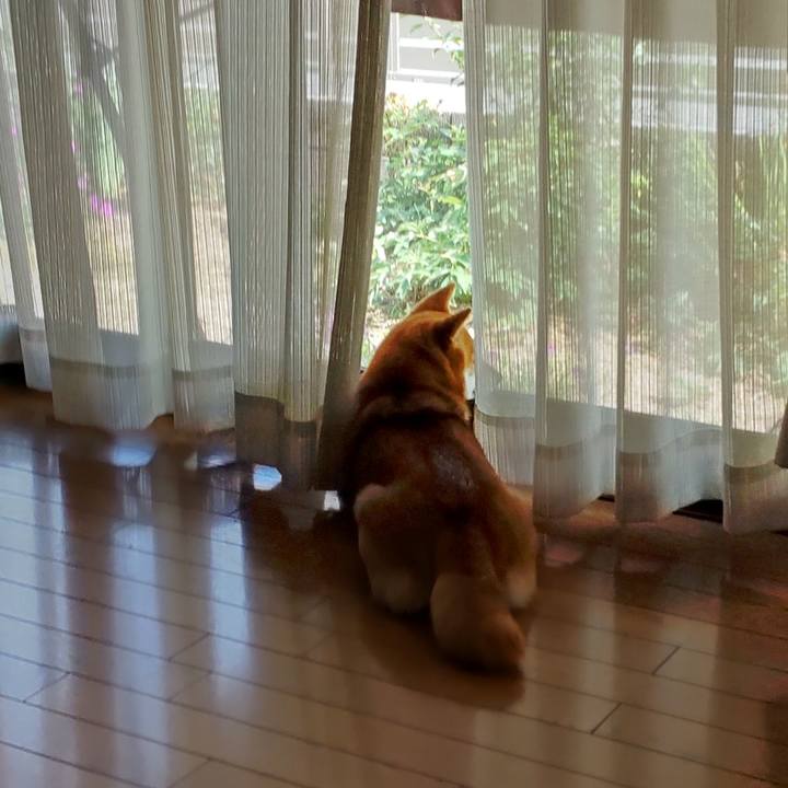 F41dfff6 2b0b 437b 9171 8e83d3a3c51e 1657347774442