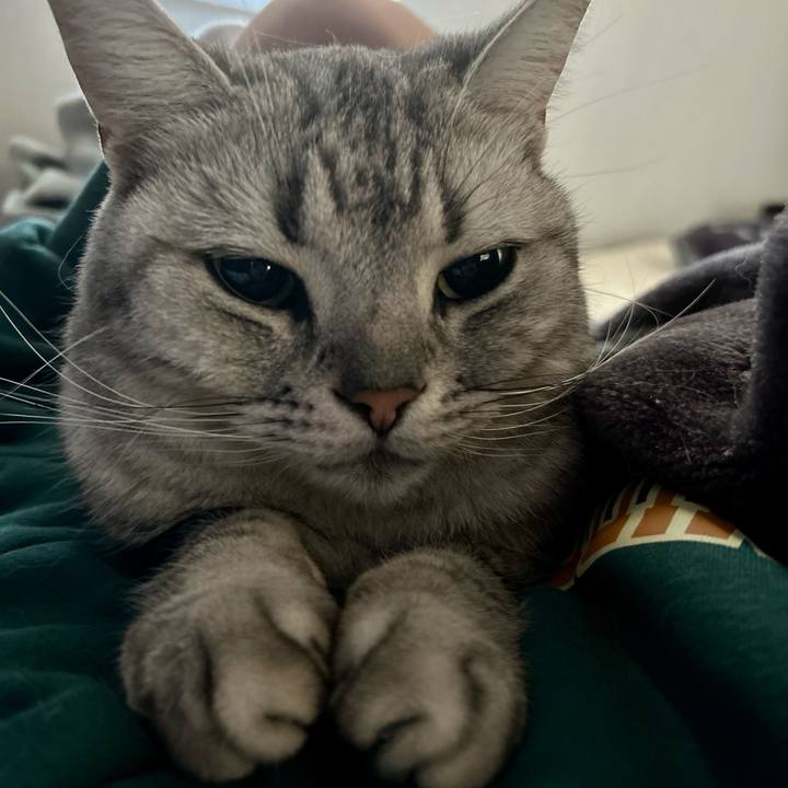 F41e0496 fe04 4d22 a20b 990886ad46a1 1713044408374