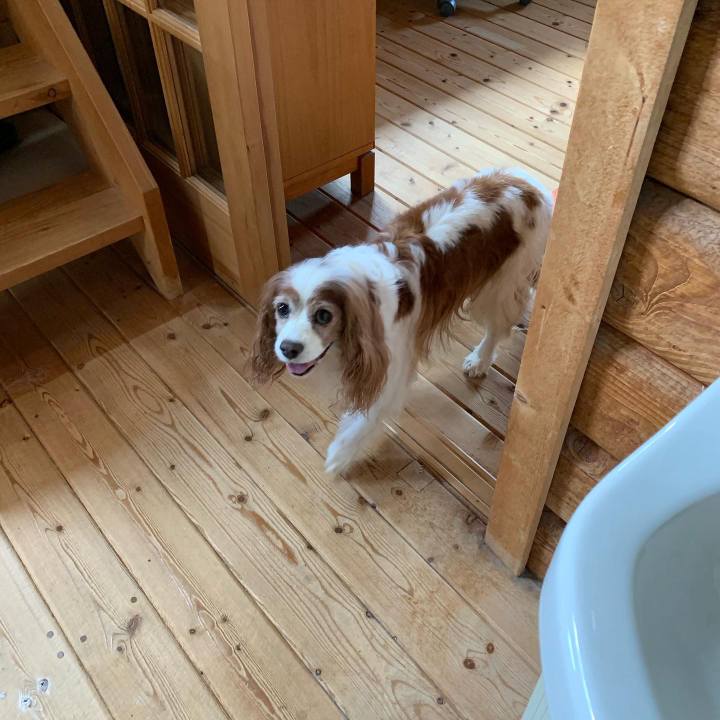 F41e3bd2 0c83 495b 8c07 2fe25d8f49c0 1595119107953