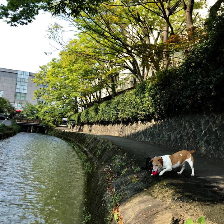 F41e40e3 ea36 49f9 805d 98121acecda5 1564820673608