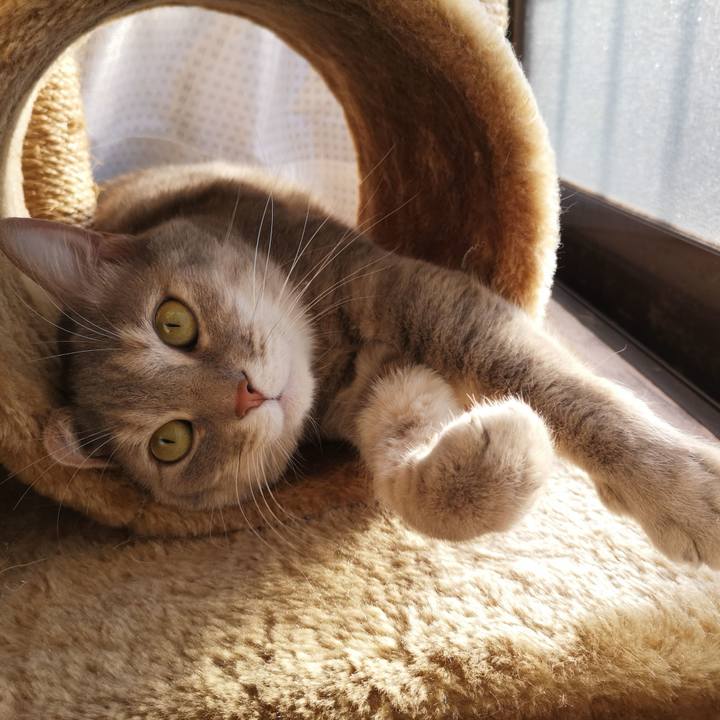 F41e5acf 3c3b 41d6 bf42 823470fa9e8a 1587478209836