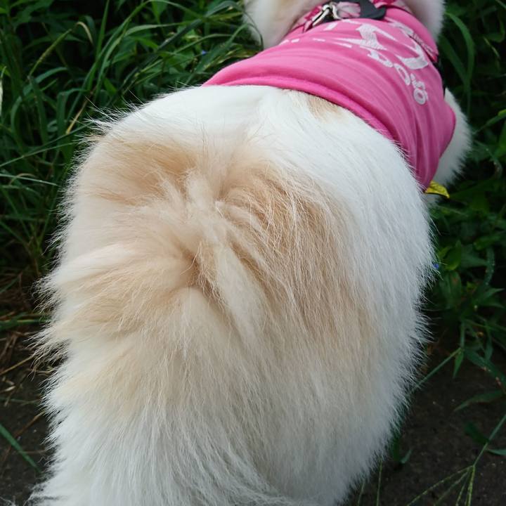 F41e61d3 b248 4d61 b07f a4d0cd94f8be 1674875975999