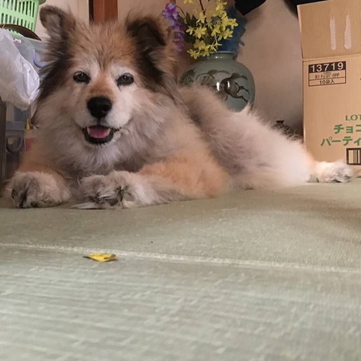 F41e8447 61c6 4da5 aef6 282de1ff34bf 1613910990736