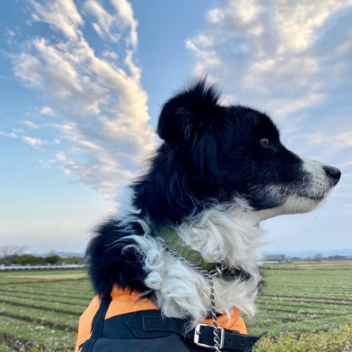 F41e9f34 4b62 46f2 b8f7 00108c6038ce 1609803430113