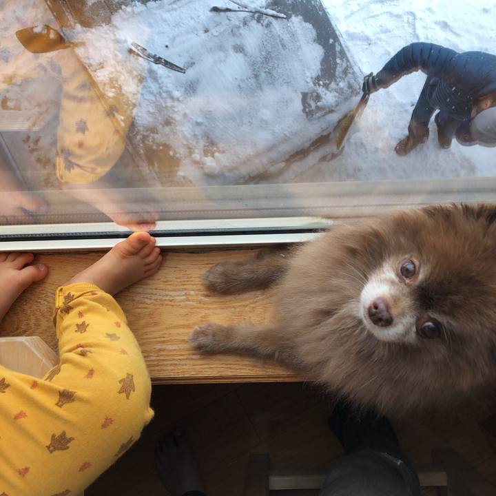 F41ed688 f07d 4435 bd65 6aea264d3517 1609470846190