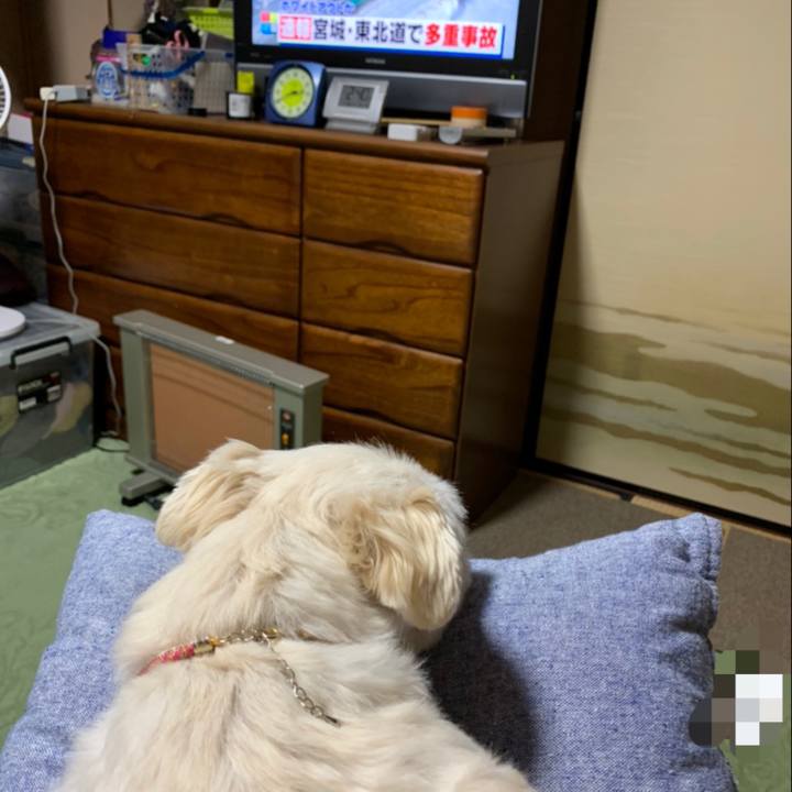 F41f27dd 9748 49d1 bea3 3923bc78b091 1611037512289