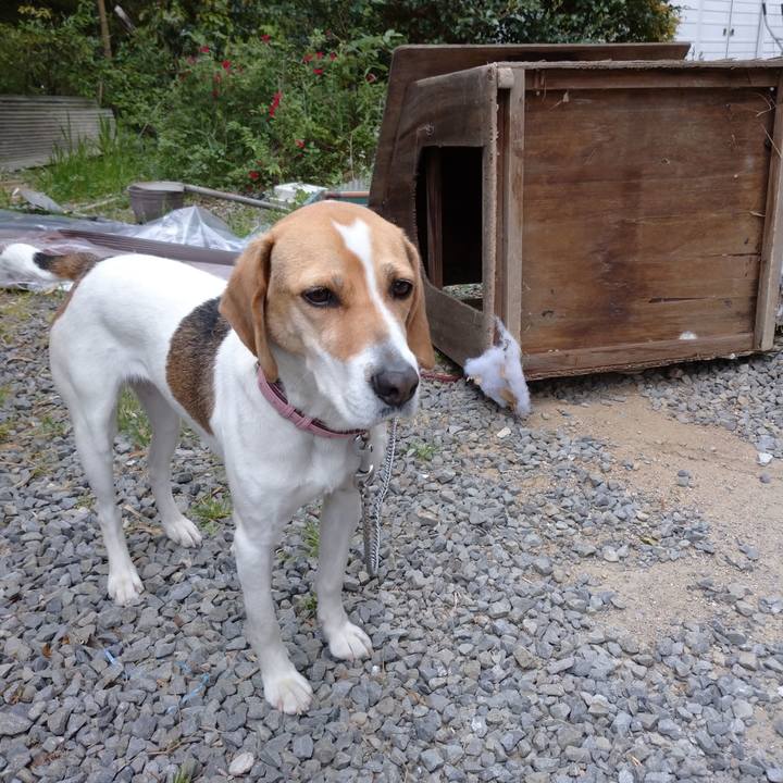 F41f2d3e 8830 492f 8247 b8d930cc47d0 1587887370528