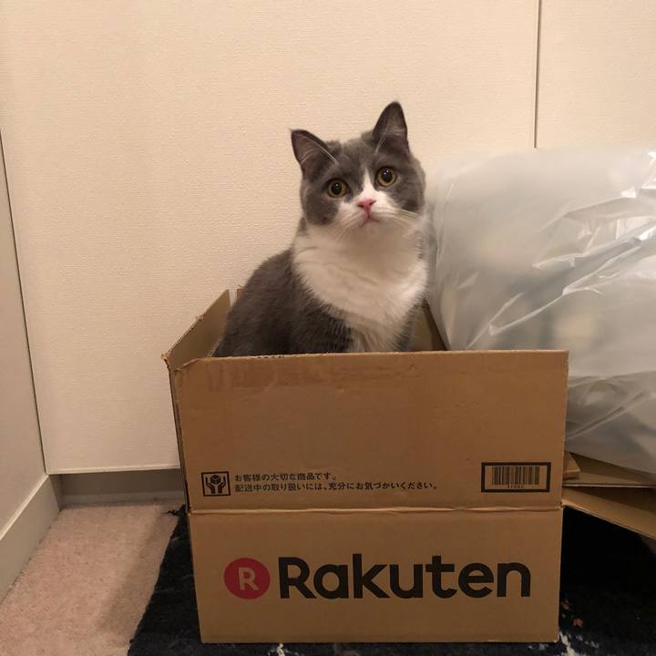 F41f2d63 9aef 41a6 812e ec30a0c4e916 1530707694914