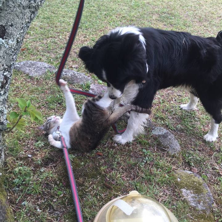 F41f4c0f 384e 47df bf21 d2aabd73f7a3 1523262560785