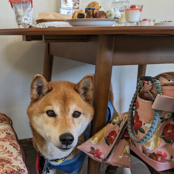 F41f5556 1cb8 49b2 8d9d c05f03e084bd 1713741219642