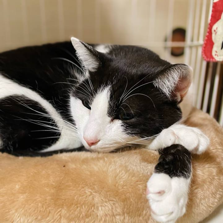 F41f6eda 16e0 4ac6 9f9c 07bc68dcad4d 1642560938024