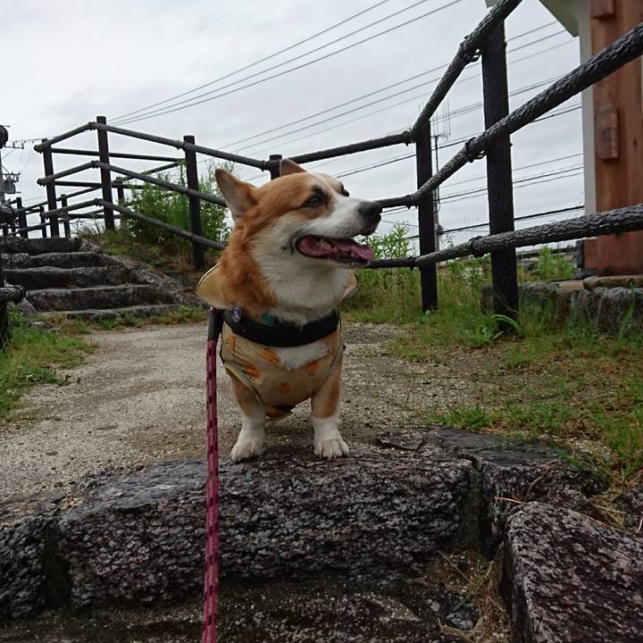 F41f84a4 4fc3 458a a0e9 31fbecc0ed3c 1625275729775