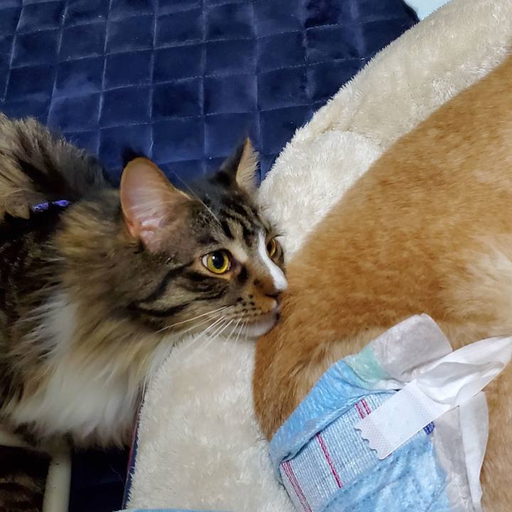 F41fdebd 174f 4ce7 9887 c0477a6cac64 1681344600968