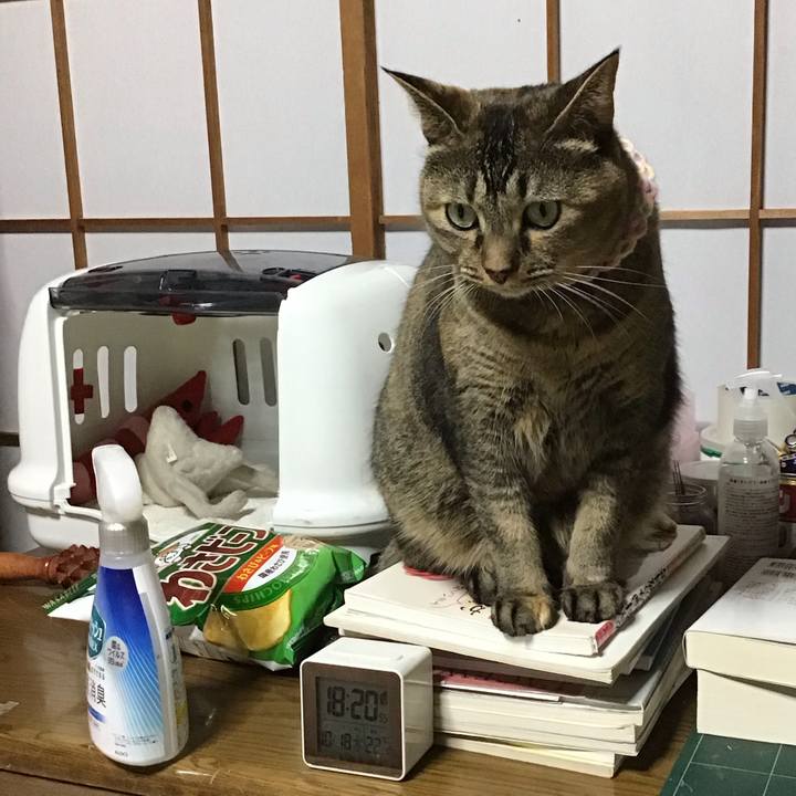 F41ffb51 55a2 4a8d a92f 0096b82713c3 1697629941183