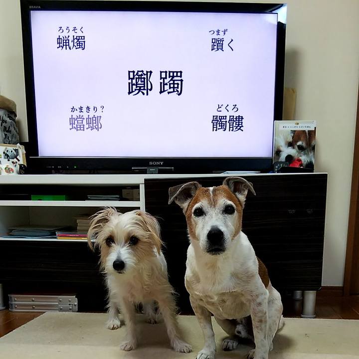 F4200c56 3dd2 4da8 a628 a5f9b4b752e1 1554069970847