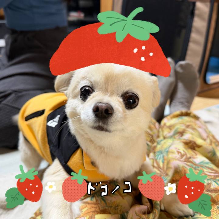 F4202891 2fae 483e b277 b10793c6f45e 1775361017984