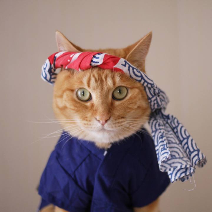 F4206584 b0af 4530 89c2 ade6d00d2d48 1720958614496