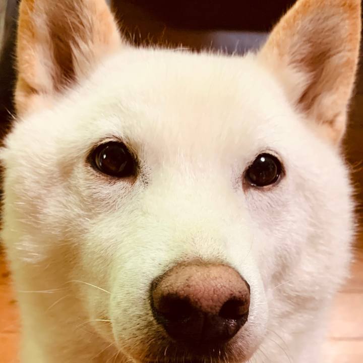 F4207a31 8222 47b8 8438 165424733eab 1591392858711