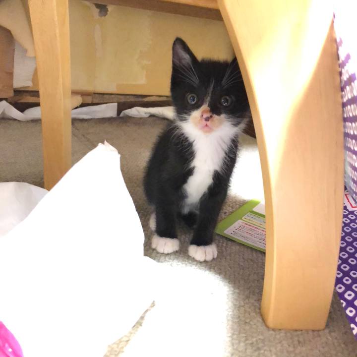 F4207c11 0f7e 457c 9e36 a893c85b56c1 1537592862257