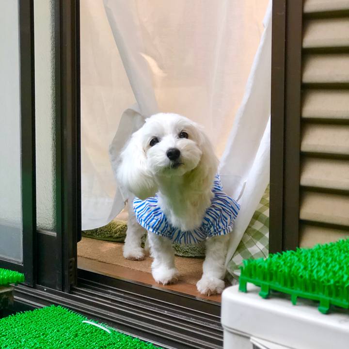 F4207f82 8fc7 4318 b56c 0fe121eb9b72 1560555316380