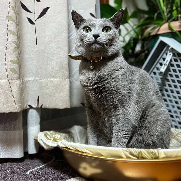 F420a5f1 88c5 4c48 8533 818a905b492d 1692141647742