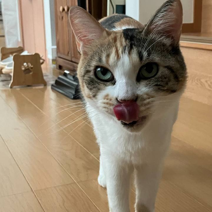 F420b13c e7a6 4330 9ee5 d930e2e9cf80 1754789907125