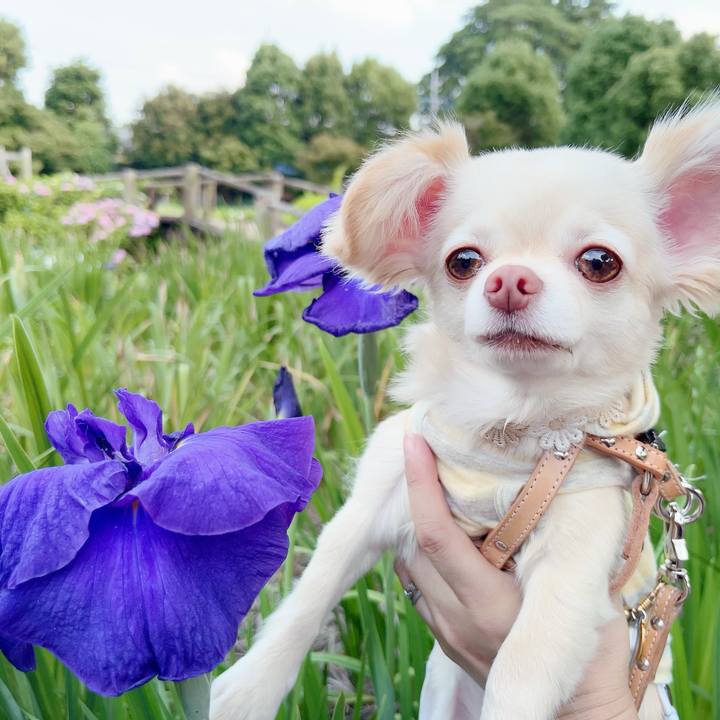 F420cac6 69cd 40f6 8d0c 6bc04519236c 1687317874453