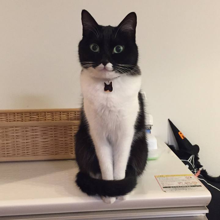 F420f523 eb34 4527 a56c c5e2022cfc87 1545057890702