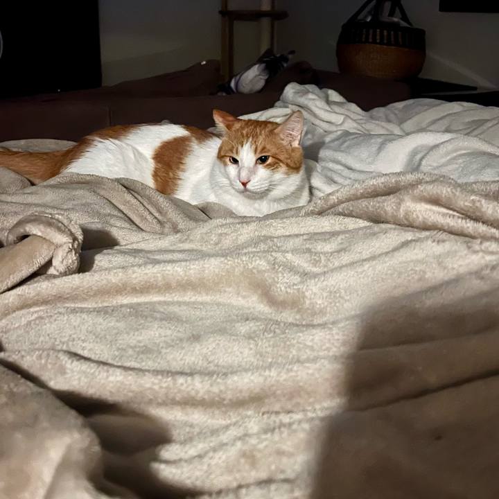 F4212ef1 34ad 4d74 a191 7ebf953330b3 1761056770981