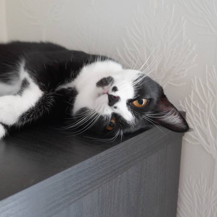 F421308e 1c25 4847 a571 de5b56a8d101 1597049810648