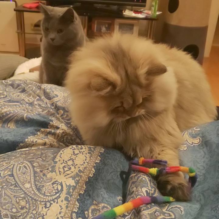 F4214ea5 736e 438f b8b7 65a2fb093d6d 1576628789111