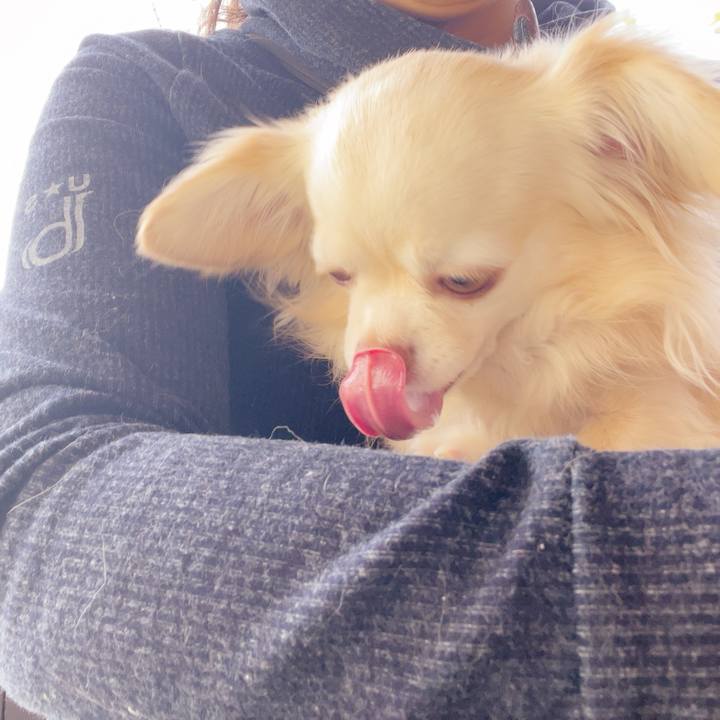 F42156ac a676 4edd b871 27b1e896db5e 1744083615715