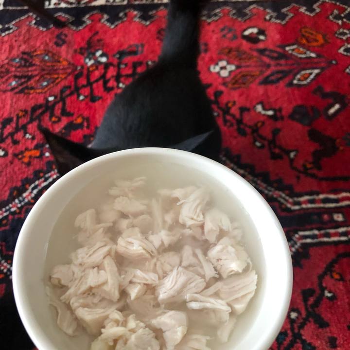 F4215d22 8e06 4f66 8862 dc8ad6dbfb20 1593087349394