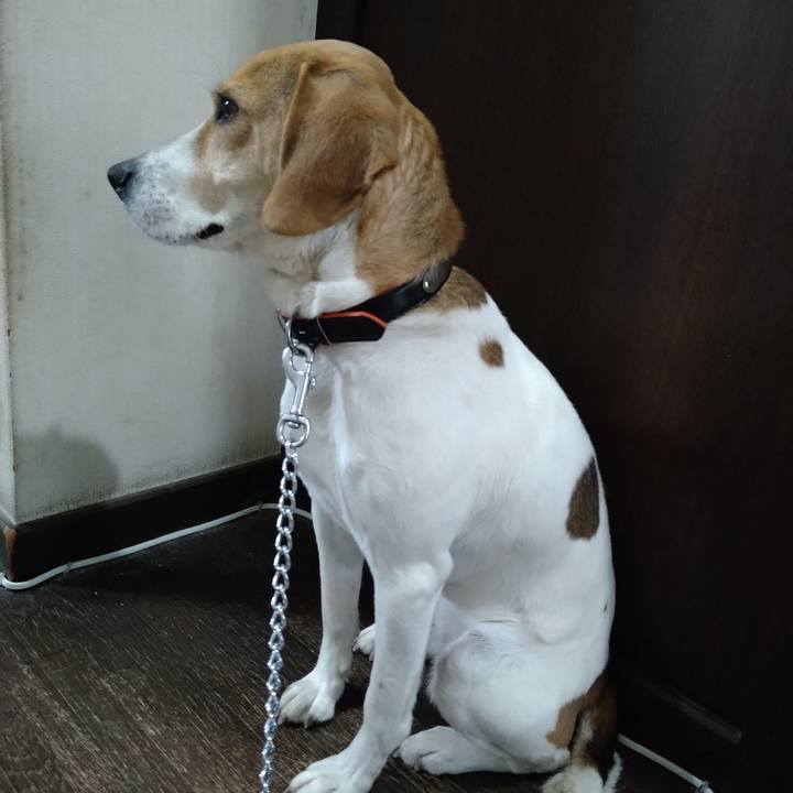 F421c1f0 986b 4c20 94d6 327efd4a6730 1618400385633