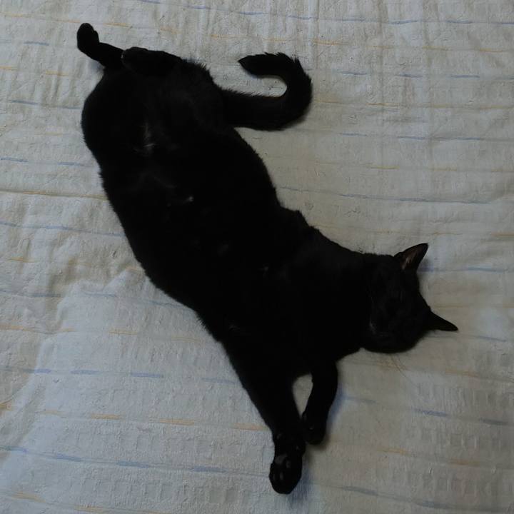 F421f5ac a52b 4853 a663 5d49e9a753e4 1624155978038