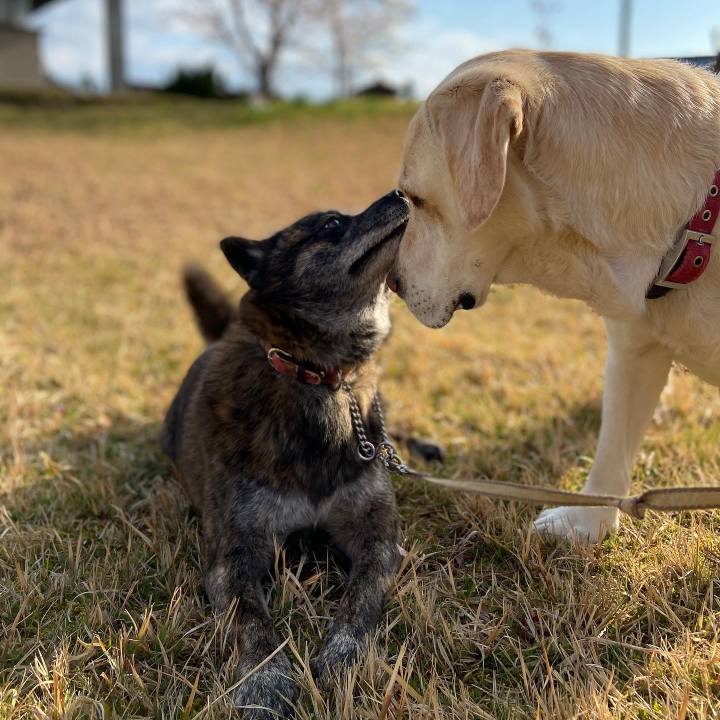 F42201ec ef69 4413 9b96 6a813dd46c94 1586389015234