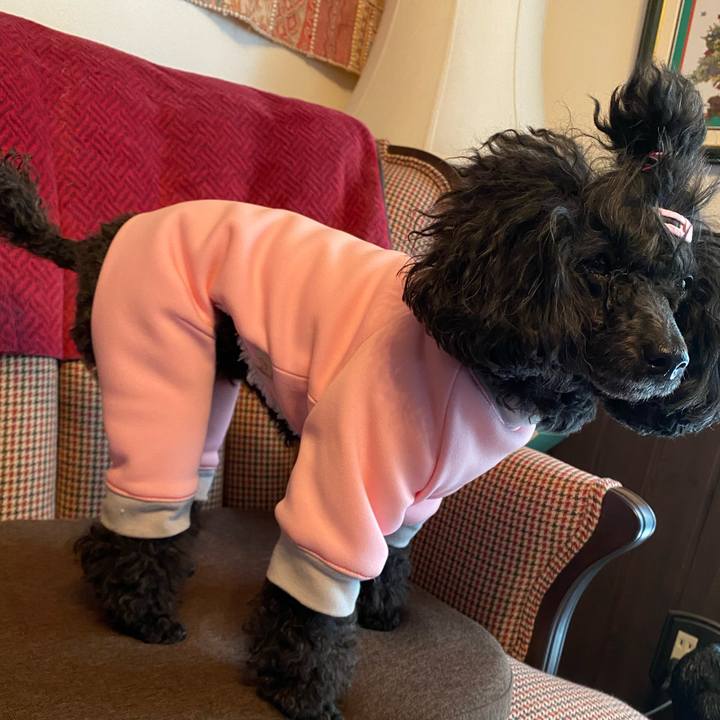 F422332a 25da 435e bf75 ac27294d483a 1640570073610