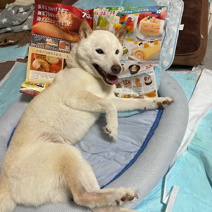 F422cd19 8778 46b8 8674 2915d4628262 1655800503899